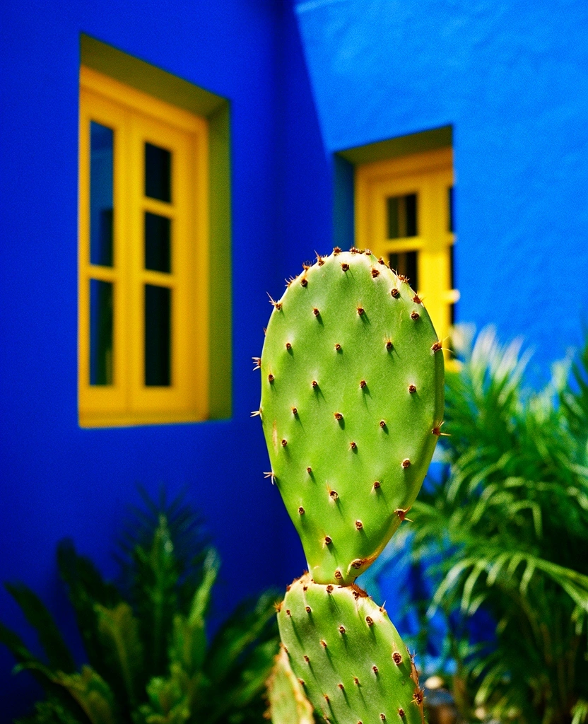 Détail botanique et architectural