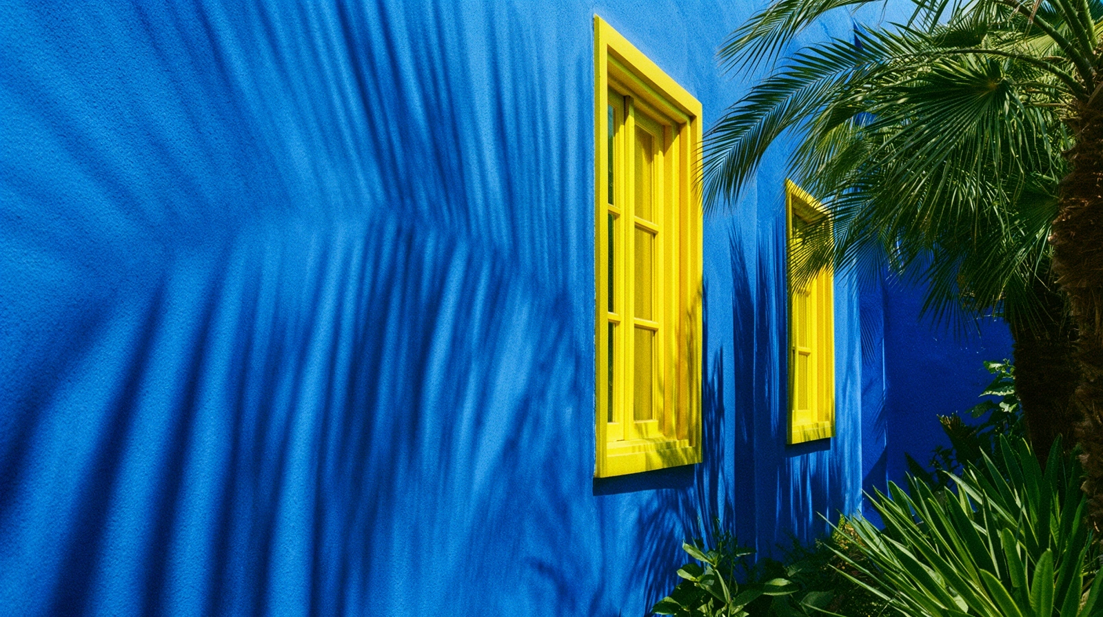 Texture et lumière au Jardin Majorelle