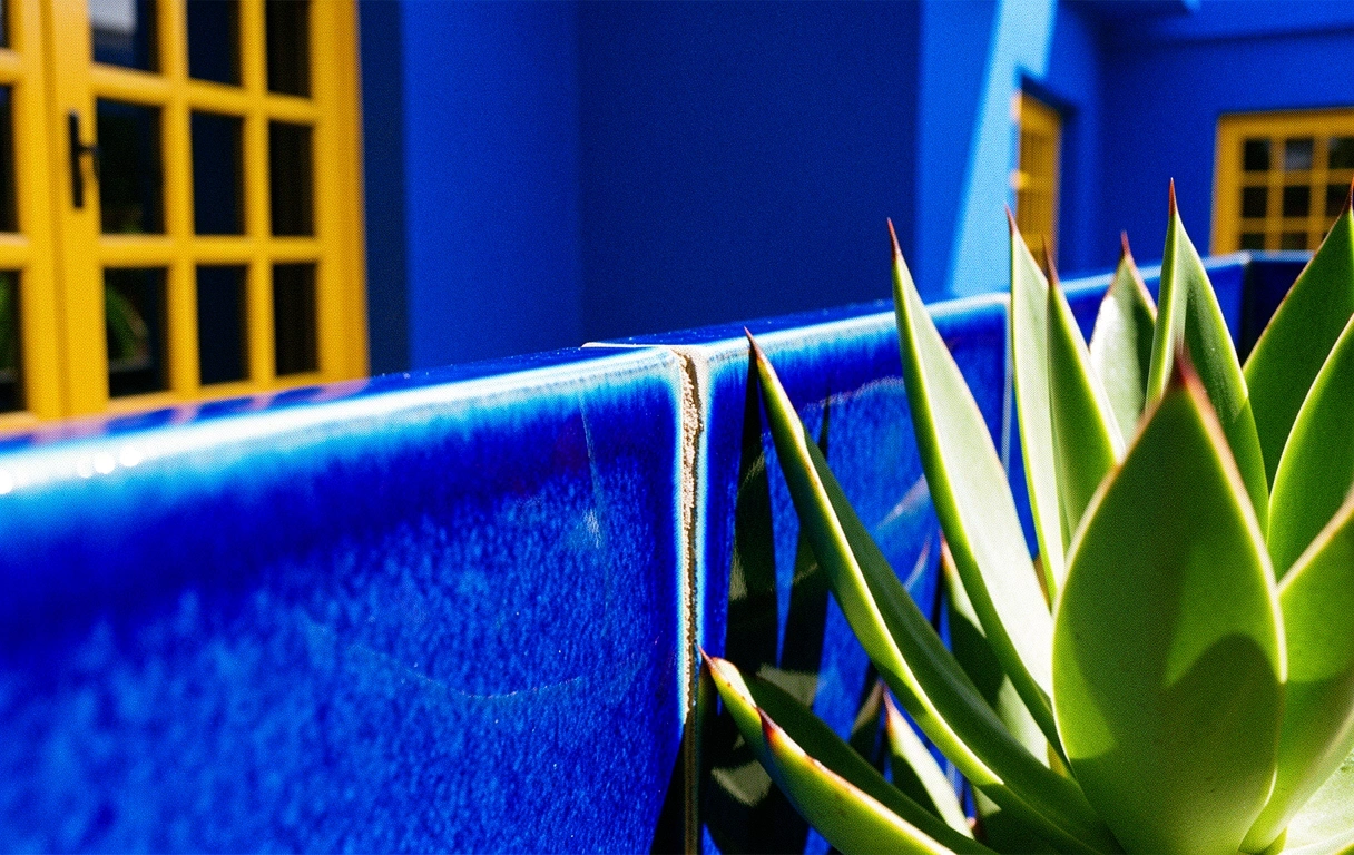 Détail botanique et cobalt